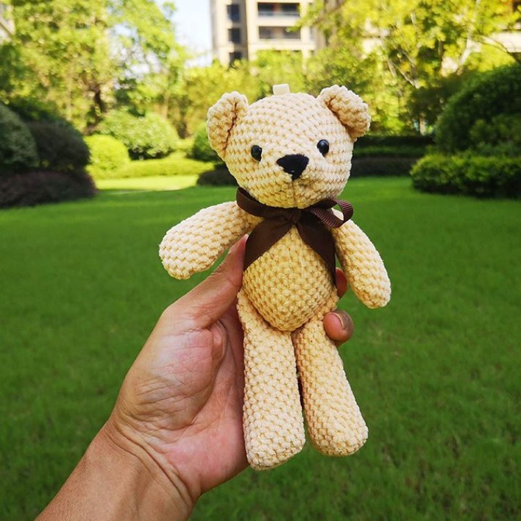 Teddy Bear, Pineapple, Wish, Hand Gift, Doll, Pendant Accessories, Packing Box, Korean Rabbit