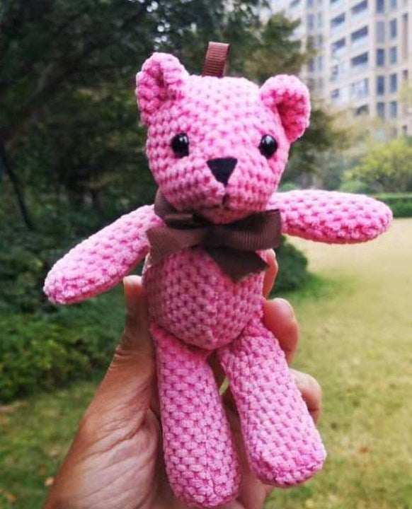 Teddy Bear, Pineapple, Wish, Hand Gift, Doll, Pendant Accessories, Packing Box, Korean Rabbit