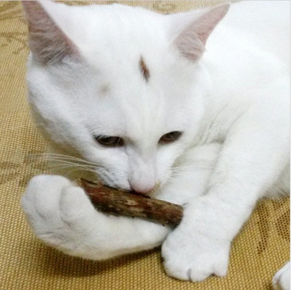 5 PCSMatatabi Toys Catnip Chew Toy for Pet Kitten