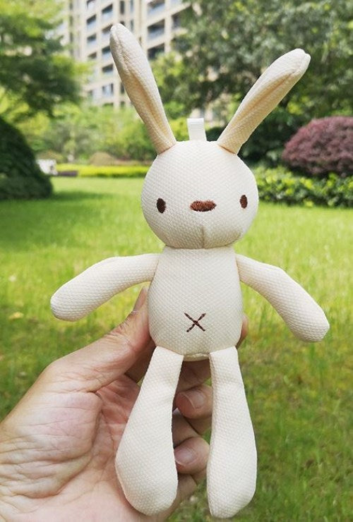 Teddy Bear, Pineapple, Wish, Hand Gift, Doll, Pendant Accessories, Packing Box, Korean Rabbit