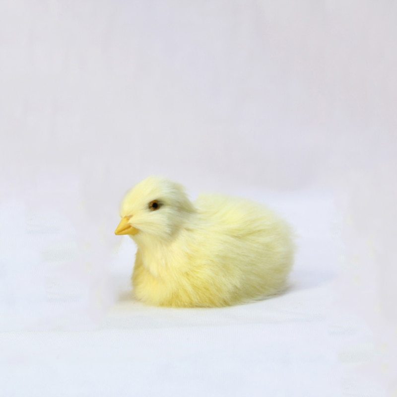 Animal Doll Children Teaching Static Model Chick Decoration