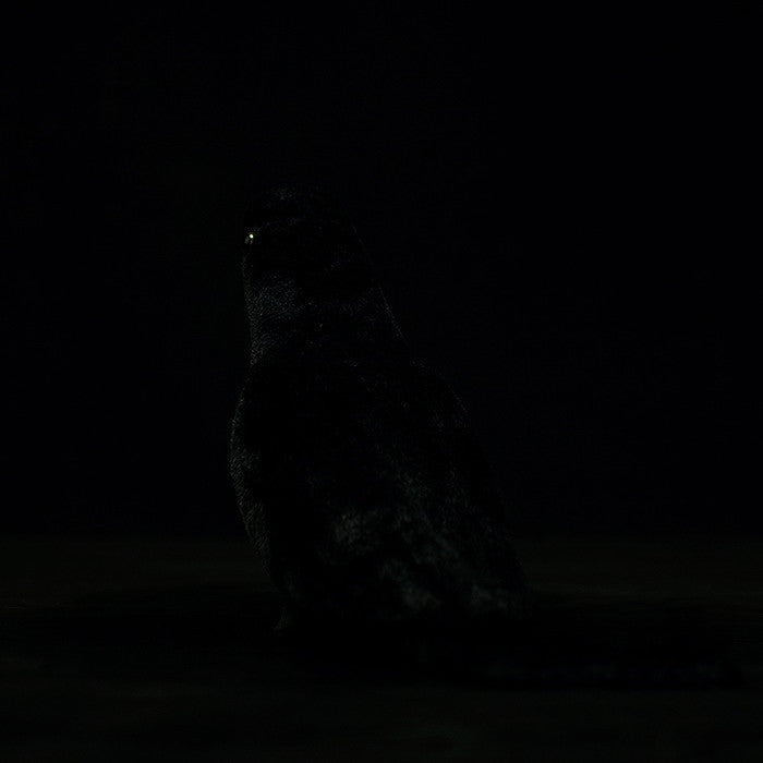 Cute Simulation Large-billed Crow Stuffed Toy