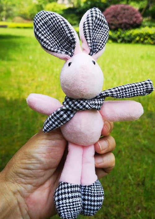 Teddy Bear, Pineapple, Wish, Hand Gift, Doll, Pendant Accessories, Packing Box, Korean Rabbit