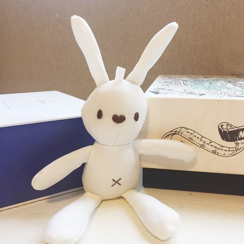 Teddy Bear, Pineapple, Wish, Hand Gift, Doll, Pendant Accessories, Packing Box, Korean Rabbit