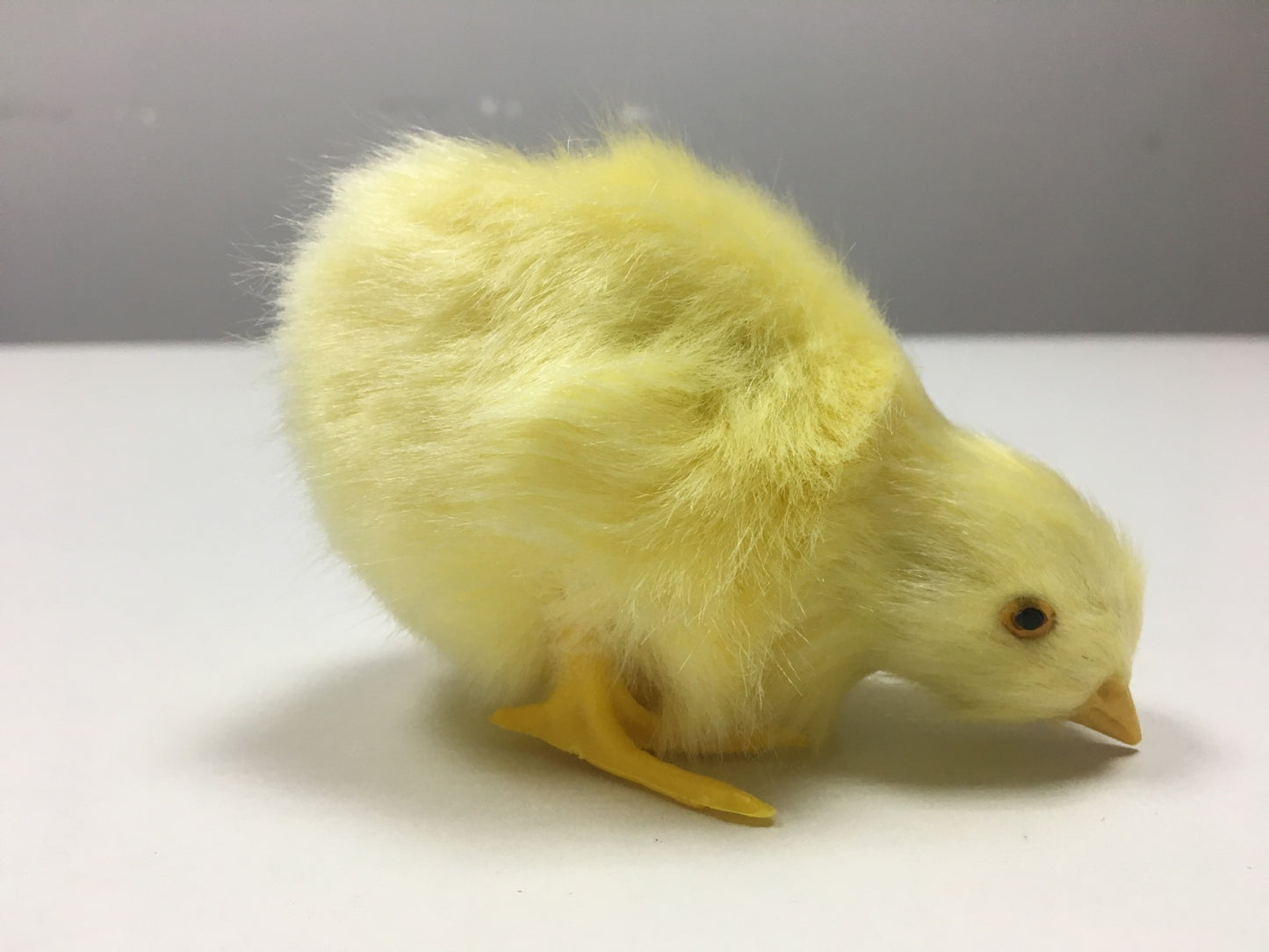 Animal Doll Children Teaching Static Model Chick Decoration