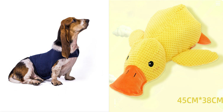 Toy Teeth-cleaning With Bite-resistant Molars