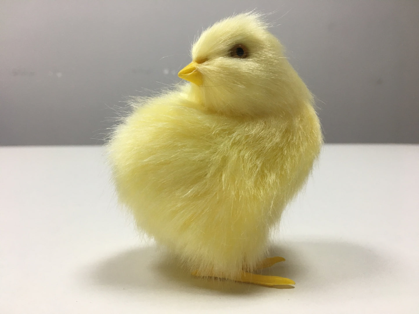 Animal Doll Children Teaching Static Model Chick Decoration