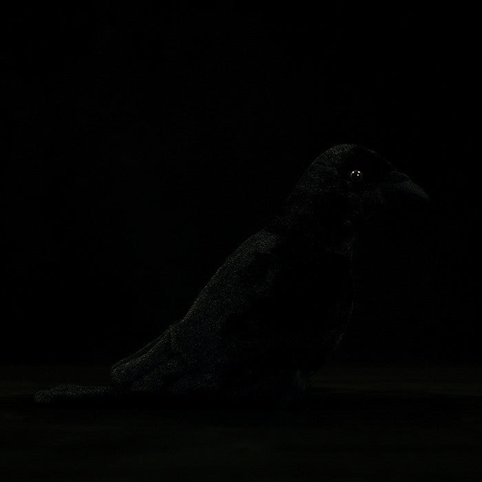 Cute Simulation Large-billed Crow Stuffed Toy