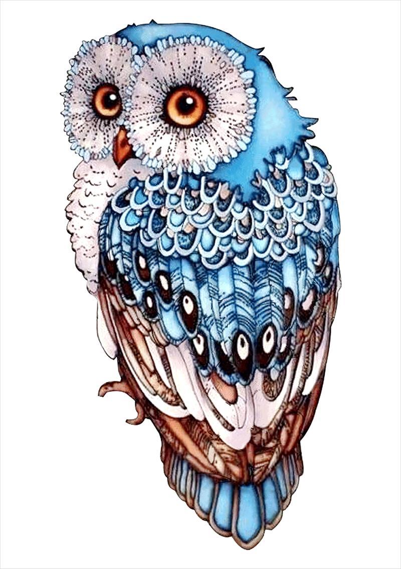 Animal Puzzle Craft Hub A3 Size