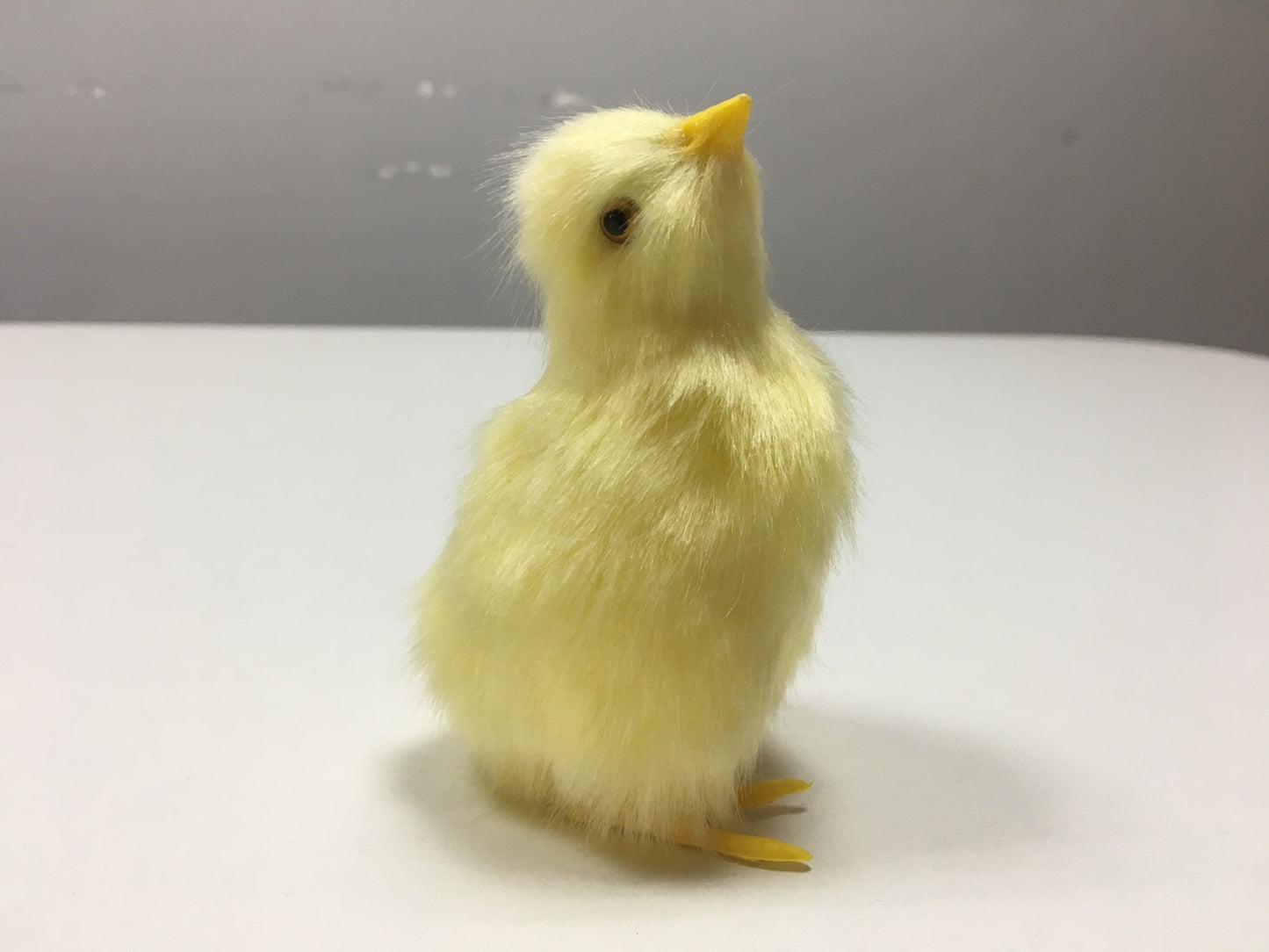 Animal Doll Children Teaching Static Model Chick Decoration