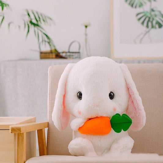 Long-eared lop-eared rabbit