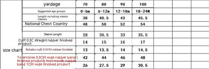 Baby Girl Jumpsuit Infant Long Sleeve Mesh Flower Embroidered Skirt Bottom-covering Rompers