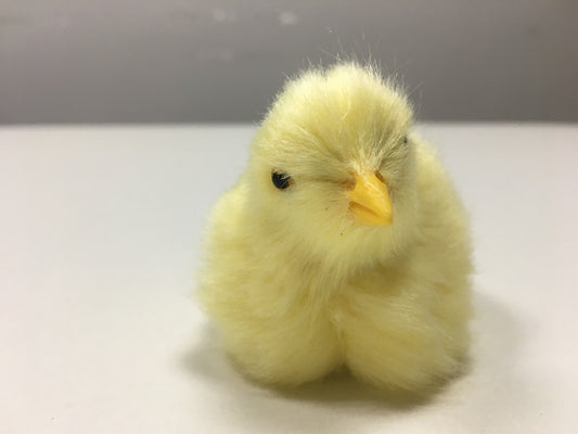 Animal Doll Children Teaching Static Model Chick Decoration