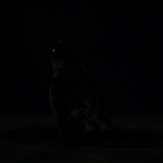 Cute Simulation Large-billed Crow Stuffed Toy