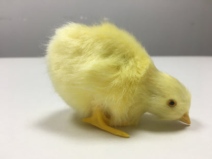 Animal Doll Children Teaching Static Model Chick Decoration
